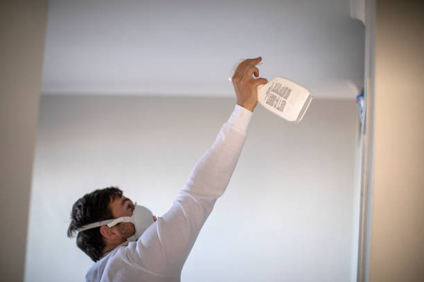 Best Health and Safety Mold Remediation in Athens, IL