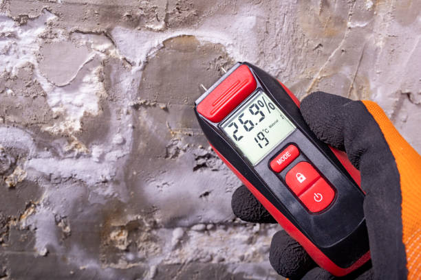 Best Crawl Space Mold Remediation in Athens, IL